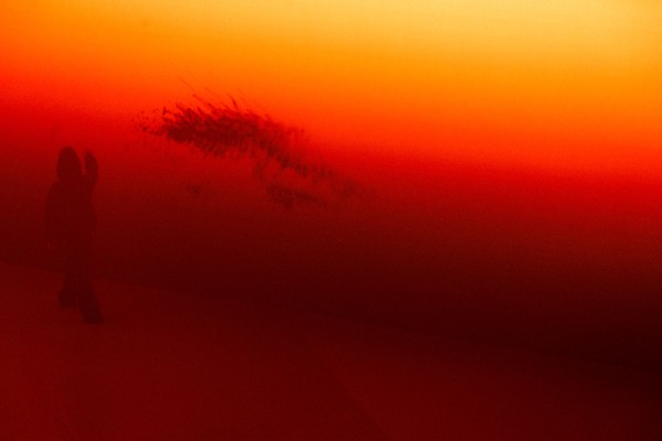 Exhibizz wide shot showing full X-shaped LED structure