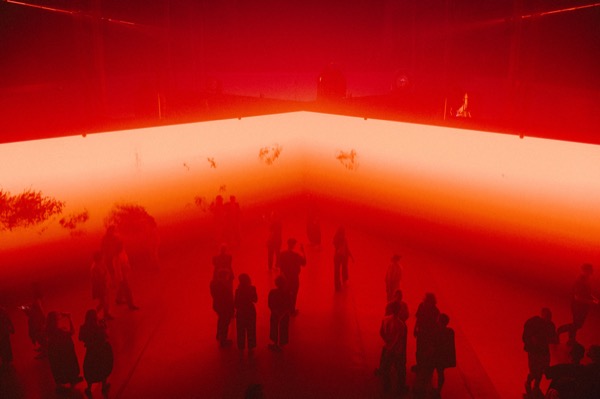 Exhibizz generative patterns on LED wall in dark gallery