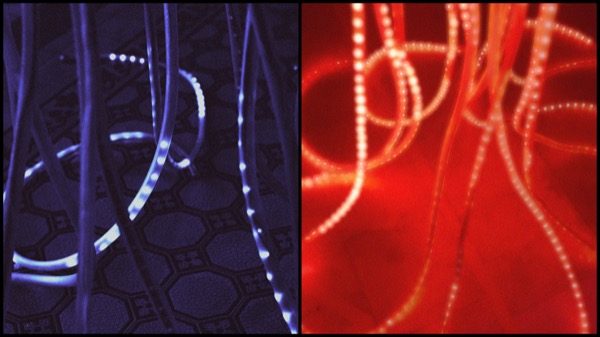 Kontinuum kinetic object responding to proximity sensor