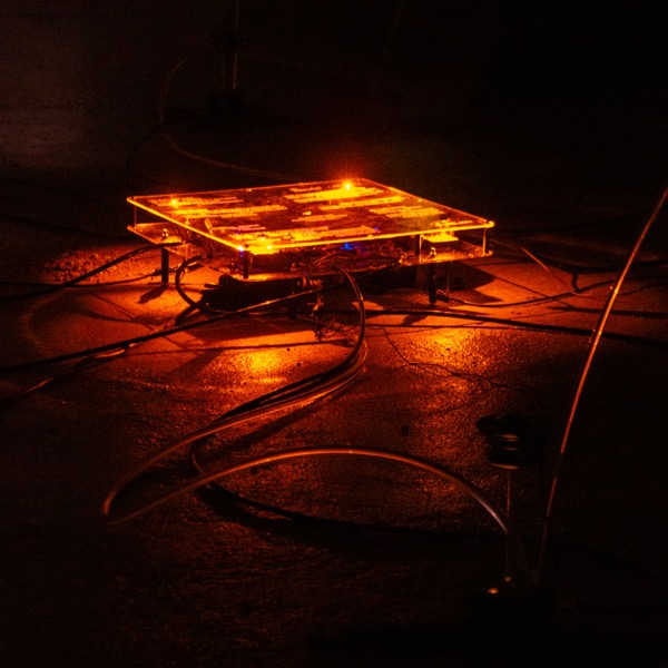 Receptor visitor interaction triggering light and sound response