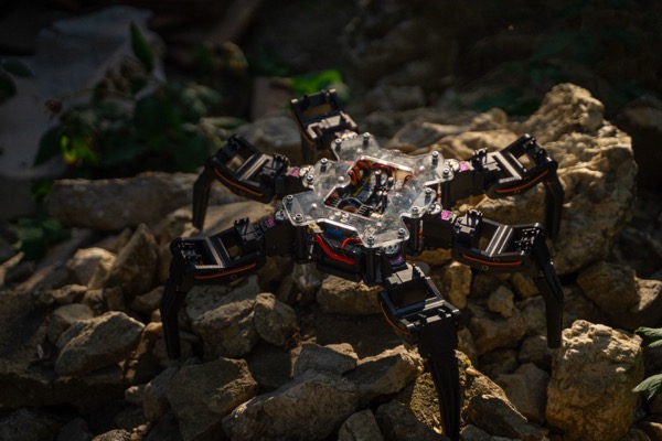 System autonomous robots in gallery with optical fiber sensors glowing