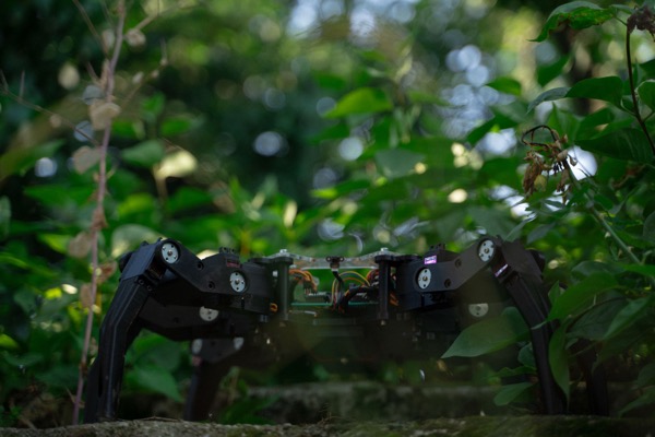 System hexapod robot detail showing leg mechanism and wiring