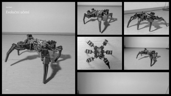 System diploma presentation showing robot ecosystem concept