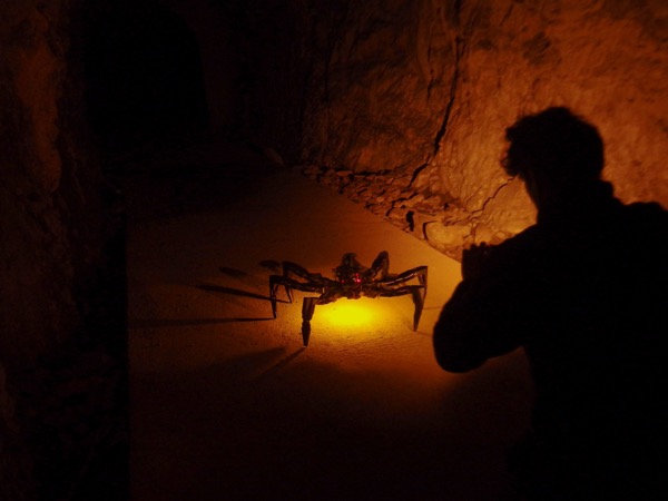 Host Guest exoskeleton membrane with embedded piezo sensors